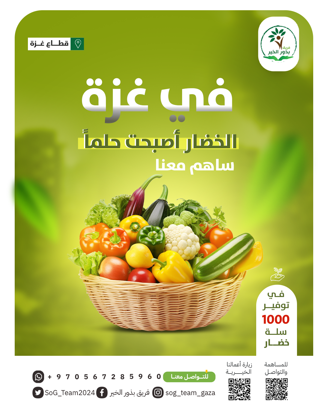 سلال الخير: دعم غذائي ل عائلات في مواصي خانيونس